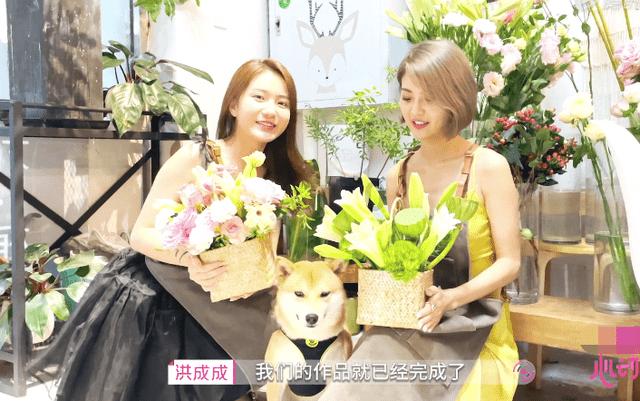 玩具战斗机大战